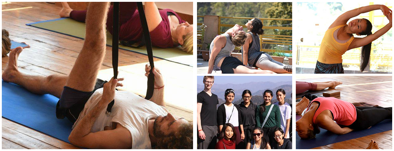 300 Hour Yoga Teacher Training in Dharamshala (High Level Yoga Training)