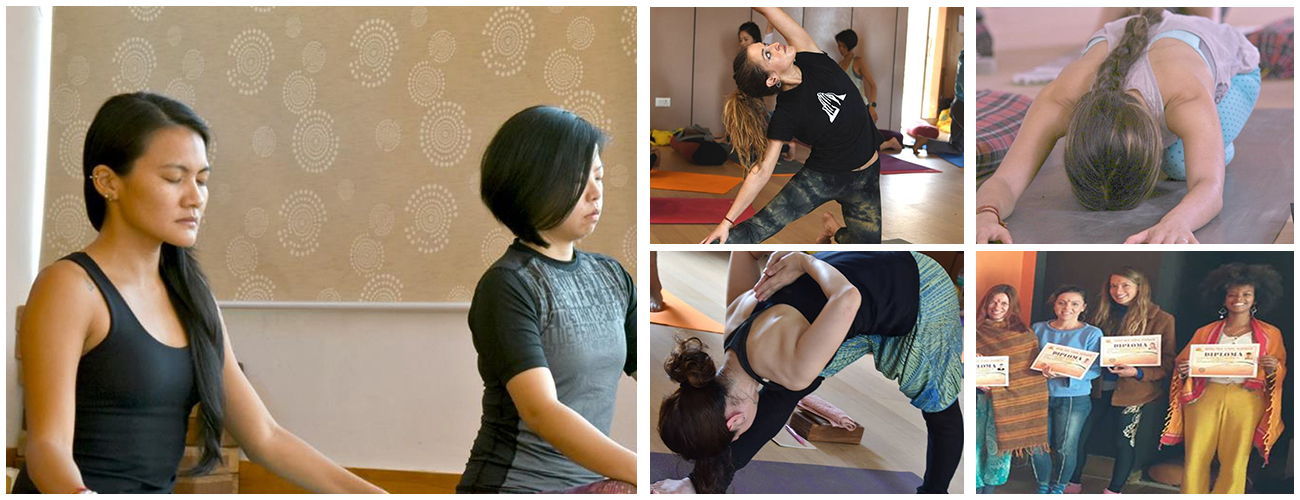 500 Hour Yoga Teacher Training in Dharamshala (Advanced Course)