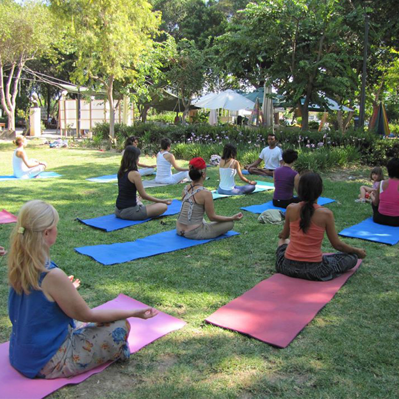 500 Hour Yoga Teacher Training in Rishikesh (Professional Yoga TTC)