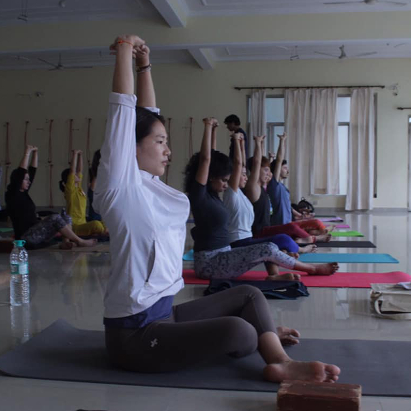 50 & 100 hour Yoga Retreat in Rishikesh