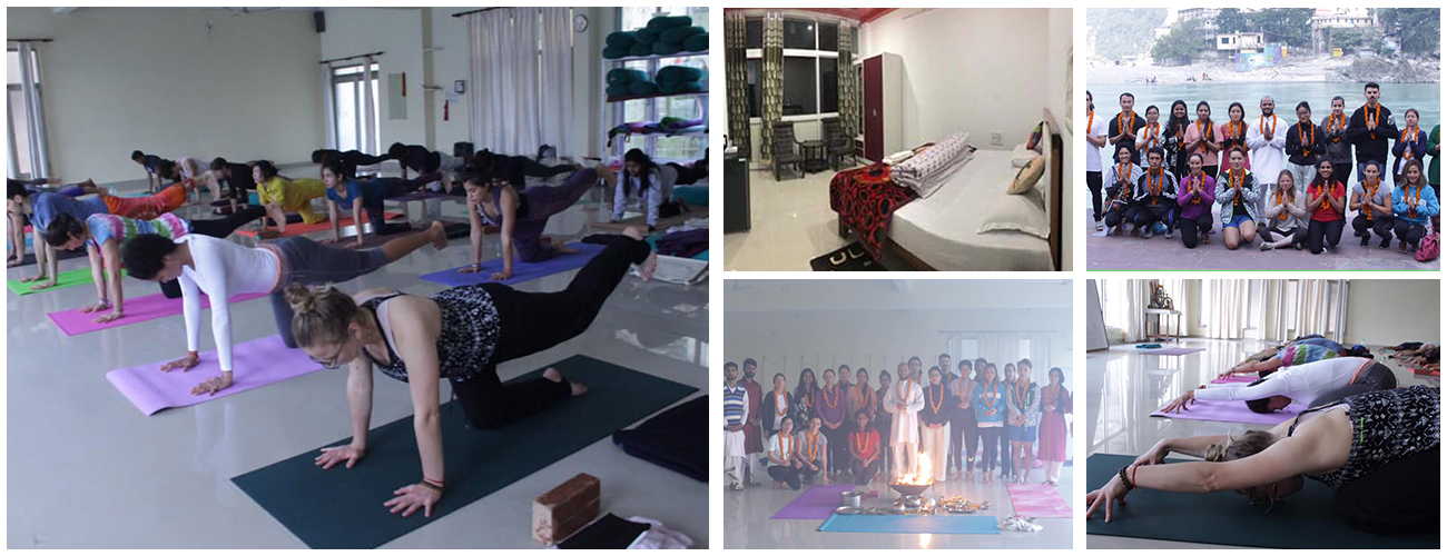 300 Hour Yoga Teacher Training in Rishikesh (Multi-style Hatha & Asthanga Course)