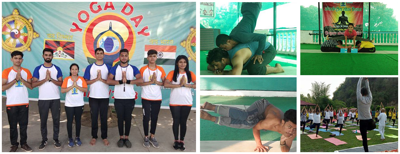 300 Hour Yoga Teacher Training In Rishikesh (Transformational Yoga TTC)
