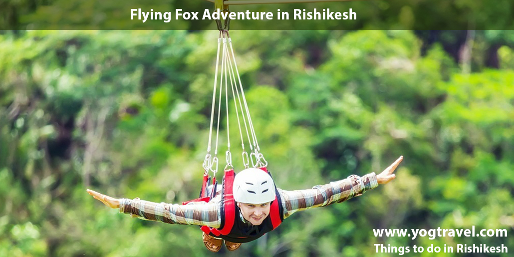 Flying fox Rishikesh